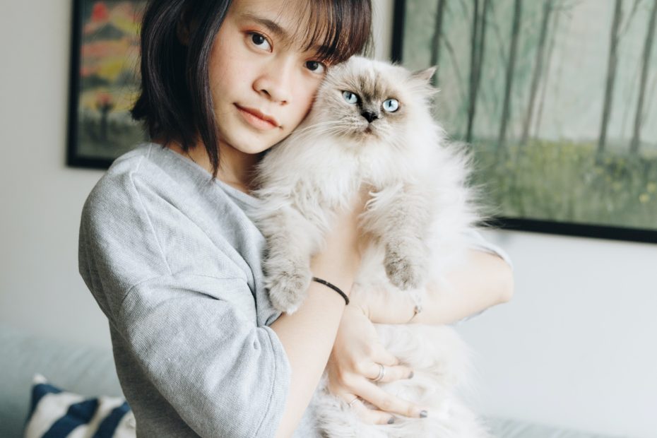 Pet furniture